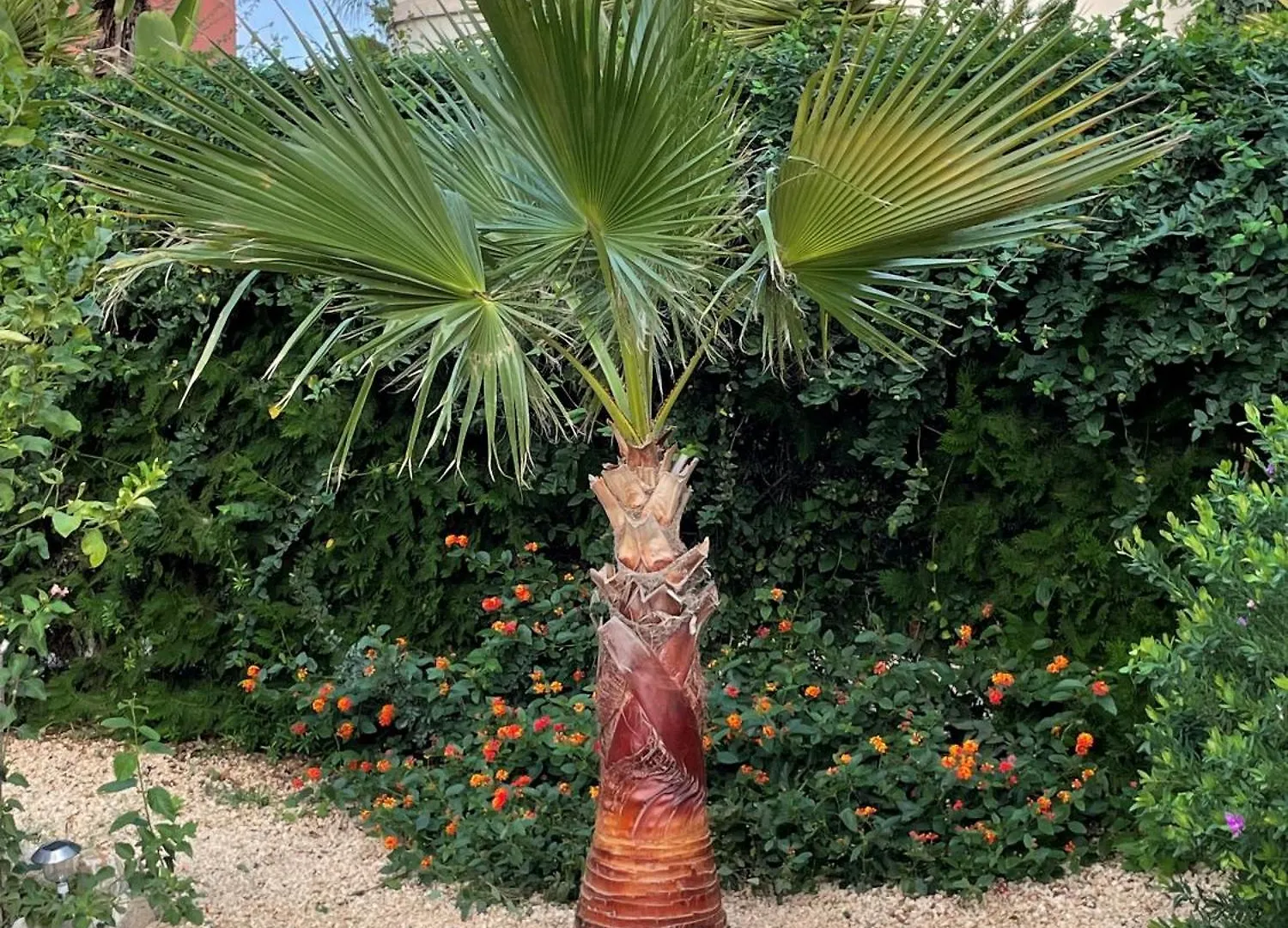 Ferienhaus Residence El Paraiso Sa Ràpita Spanien